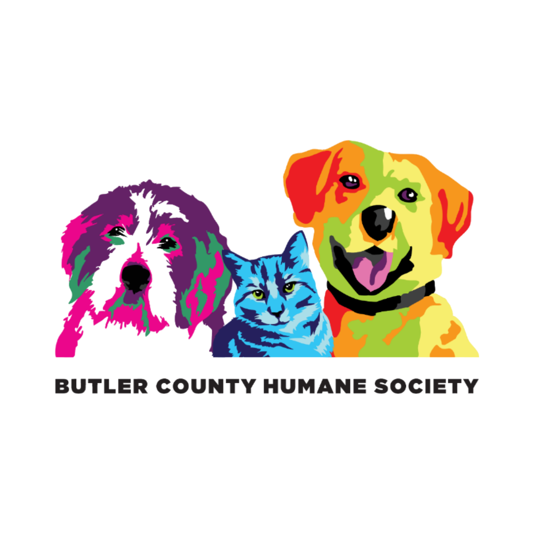 Paws & Plans 2026 - logo